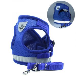Reflective Safety Dog Harness and Leash Set