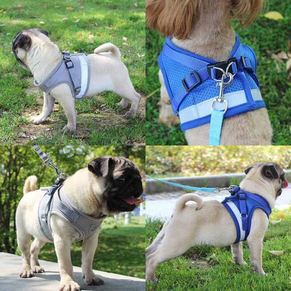 Reflective Safety Dog Harness and Leash Set