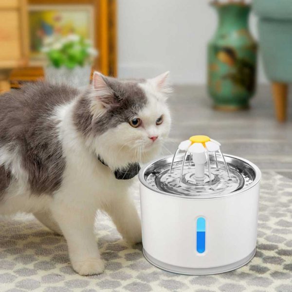 2.4L-LED Automatic Water Fountain Dispenser