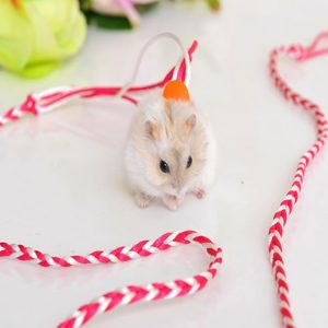 Hand-Woven Small Pet Dual-Purpose Traction Rope Pet Sliding Mouse Rope Walking Squirrel Traction Rope Hamster Supplies