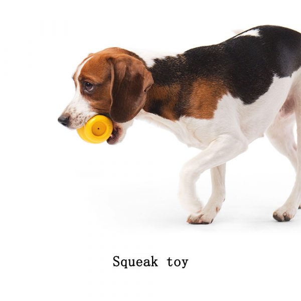 PETKIT-Beautiful-Squeaky-Ball-Chew-and-Dispenser-Ball-package