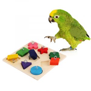 Educational Toys for Parrots Cockatoo