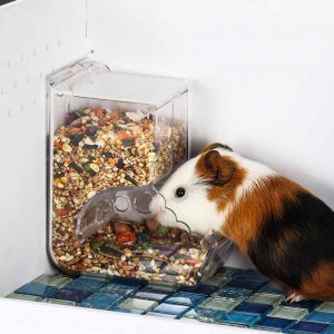 Hamster Rabbit Bird Food Dispenser Feeder