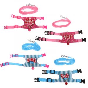 Leash and Chest Strap for Small Pets