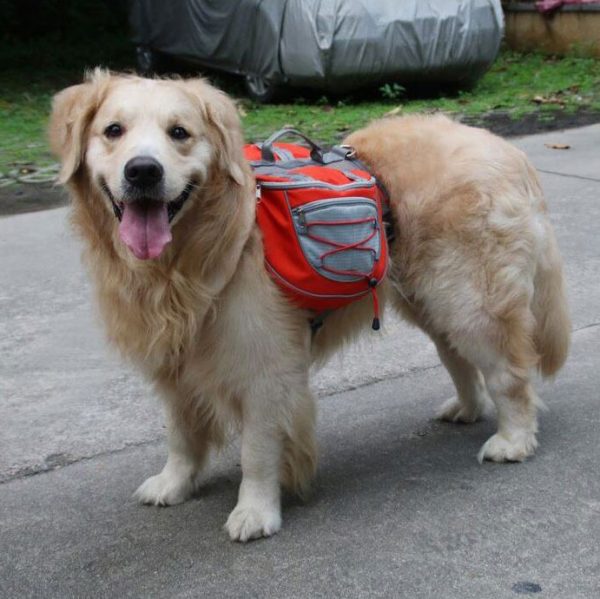 Lovoyager-Waterproof adjustable nylon pet backpack