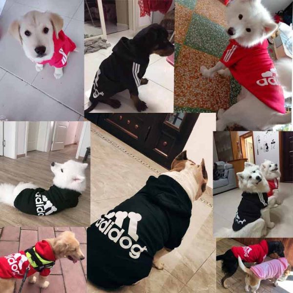 Adidog-Pet Clothes For Big Dogs