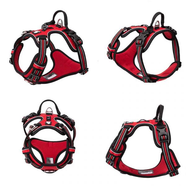 Truelove Pet Reflective Nylon Harness