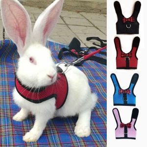 Vest for Rabbits, Ferrets, Guinea Pigs and Hamsters