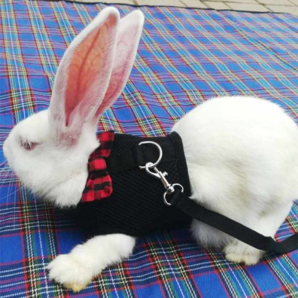 Vest for Rabbits, Ferrets, Guinea Pigs and Hamsters
