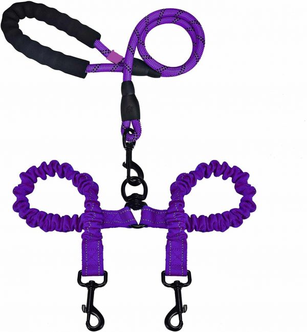 Double-Ended Luminous Large Leash