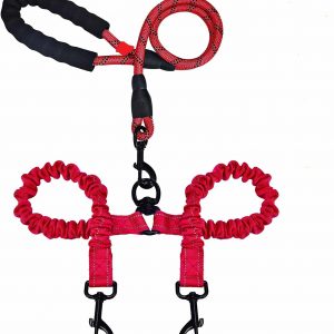 Double-Ended Luminous Large Leash